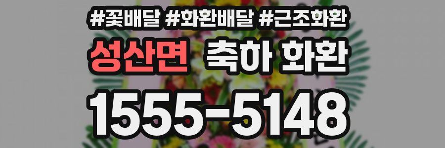 성산면 축하 화환