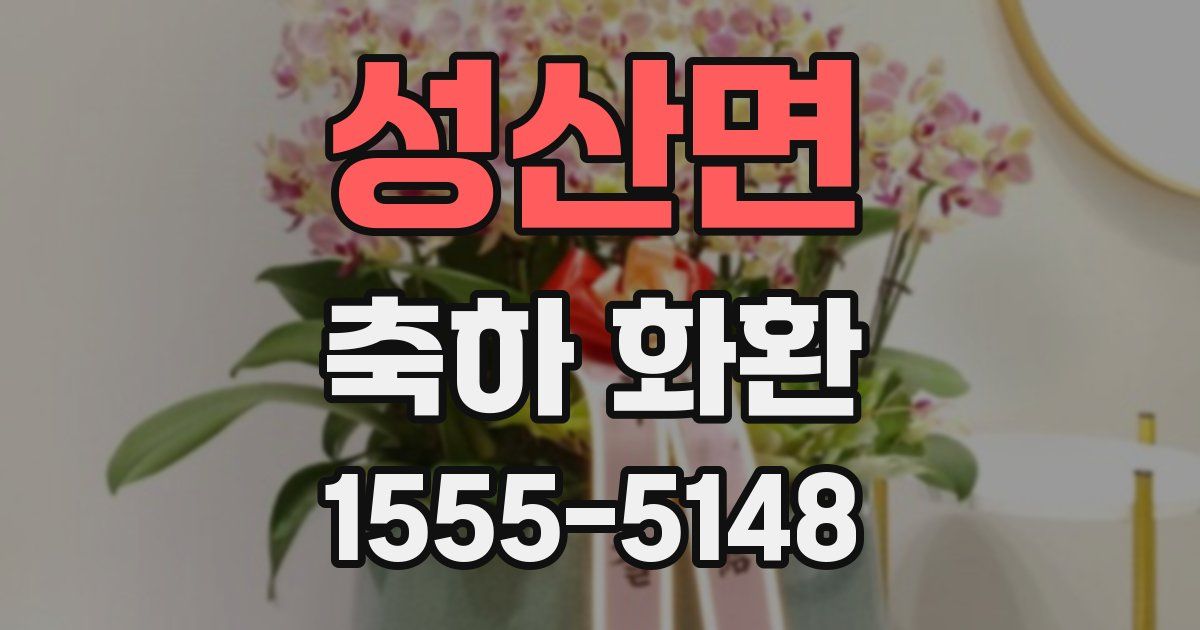 성산면 축하 화환