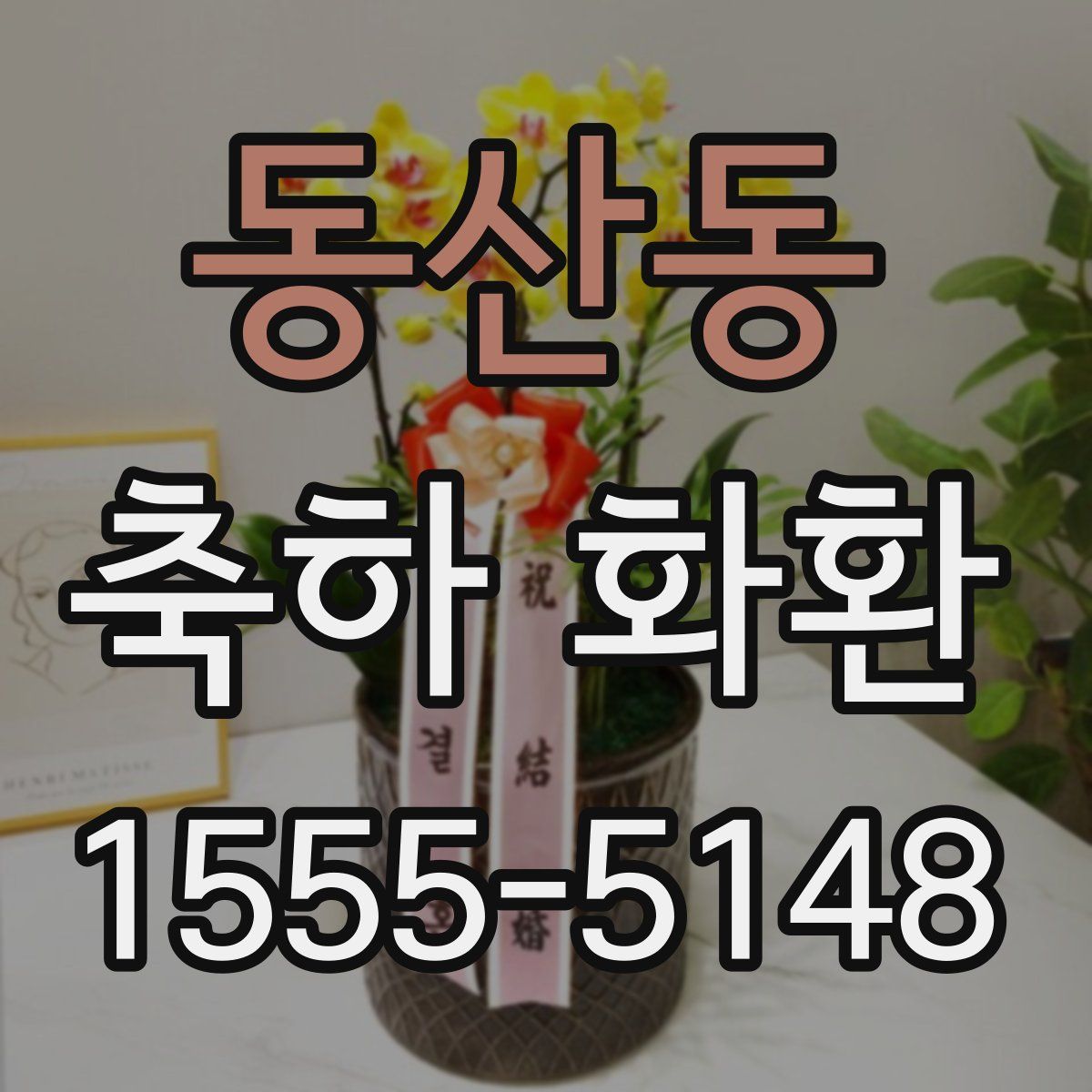 동산동 축하 화환