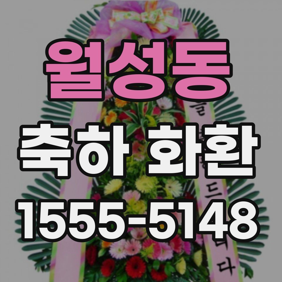월성동 축하 화환 기본 구성과 추가 옵션 비교