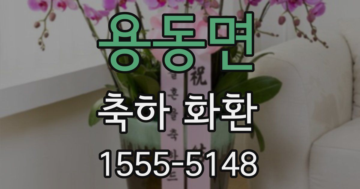 용동면 축하 화환