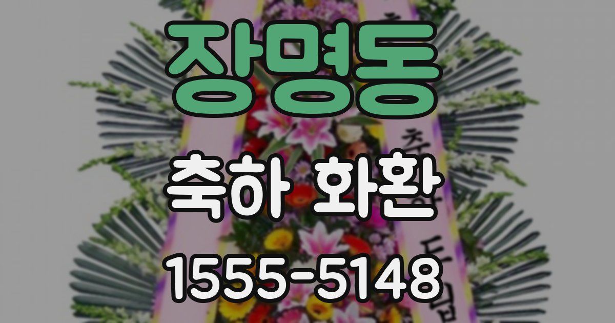 장명동 축하 화환