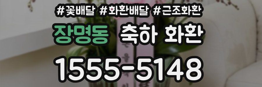 장명동 축하 화환