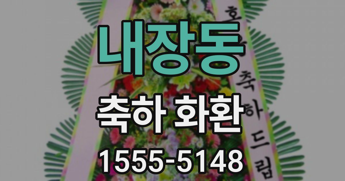 내장동 축하 화환