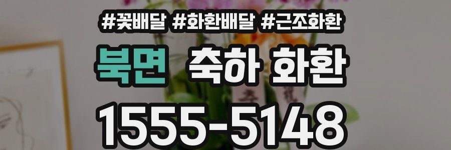 북면 축하 화환