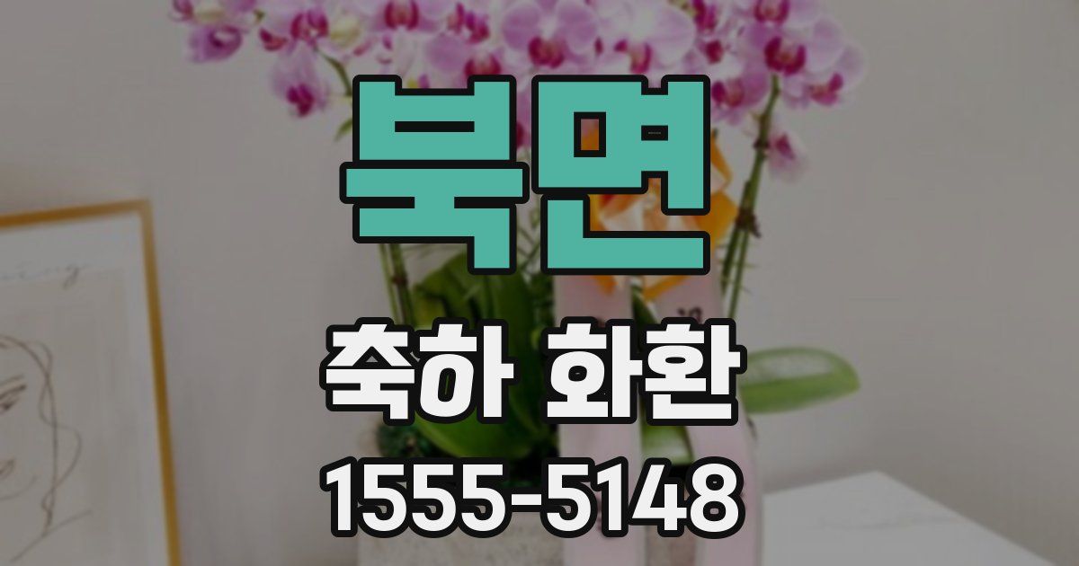 북면 축하 화환