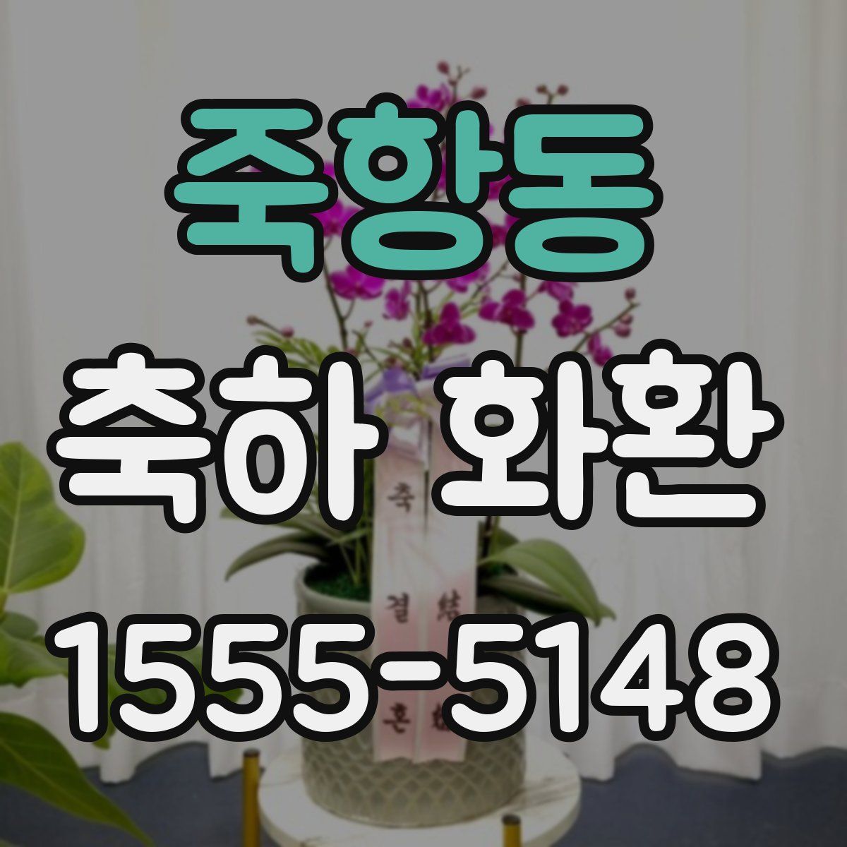 죽항동 축하 화환