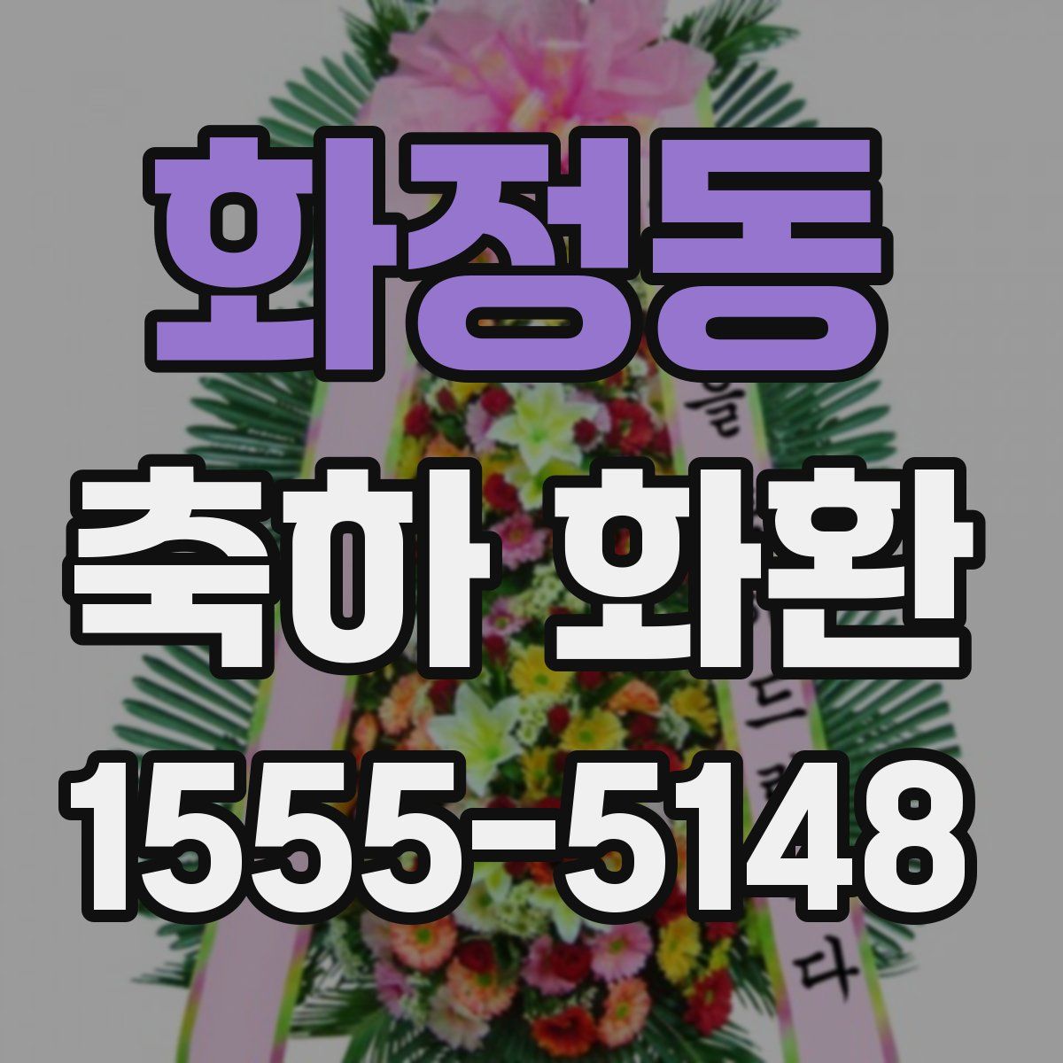 화정동 축하 화환