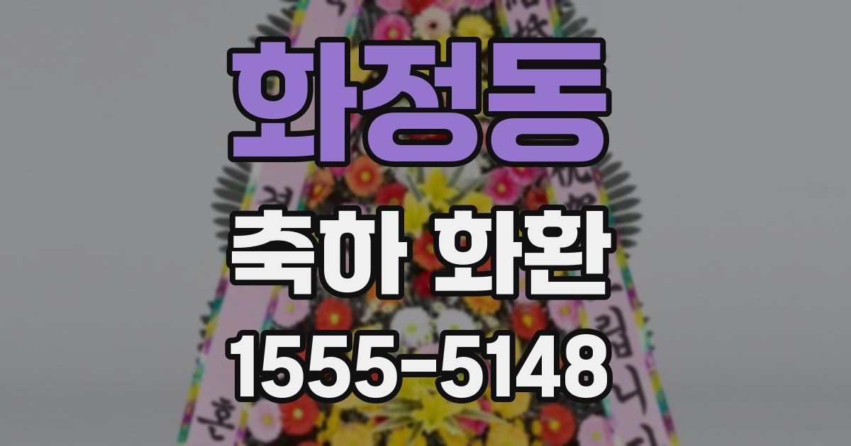 화정동 축하 화환