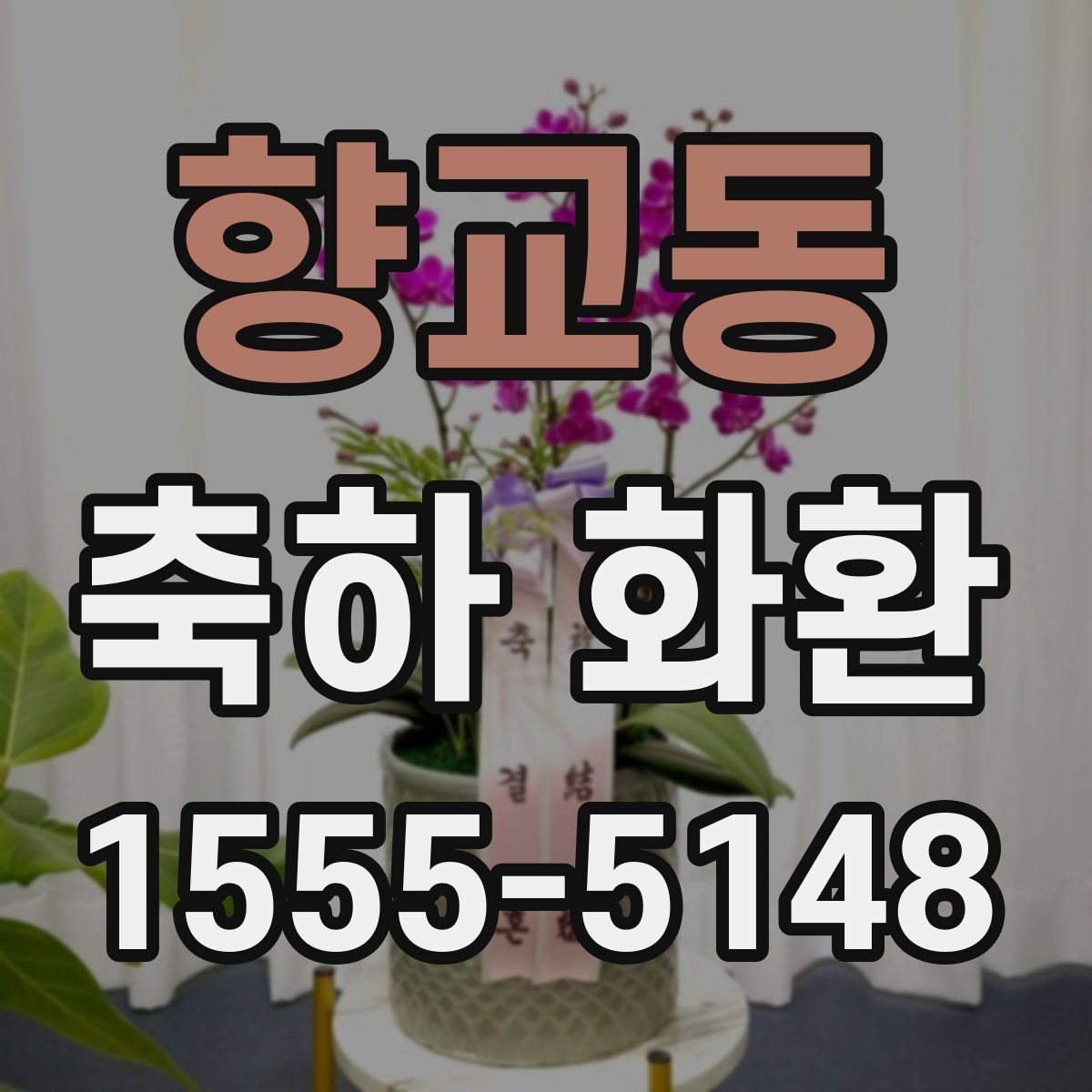 향교동 축하 화환
