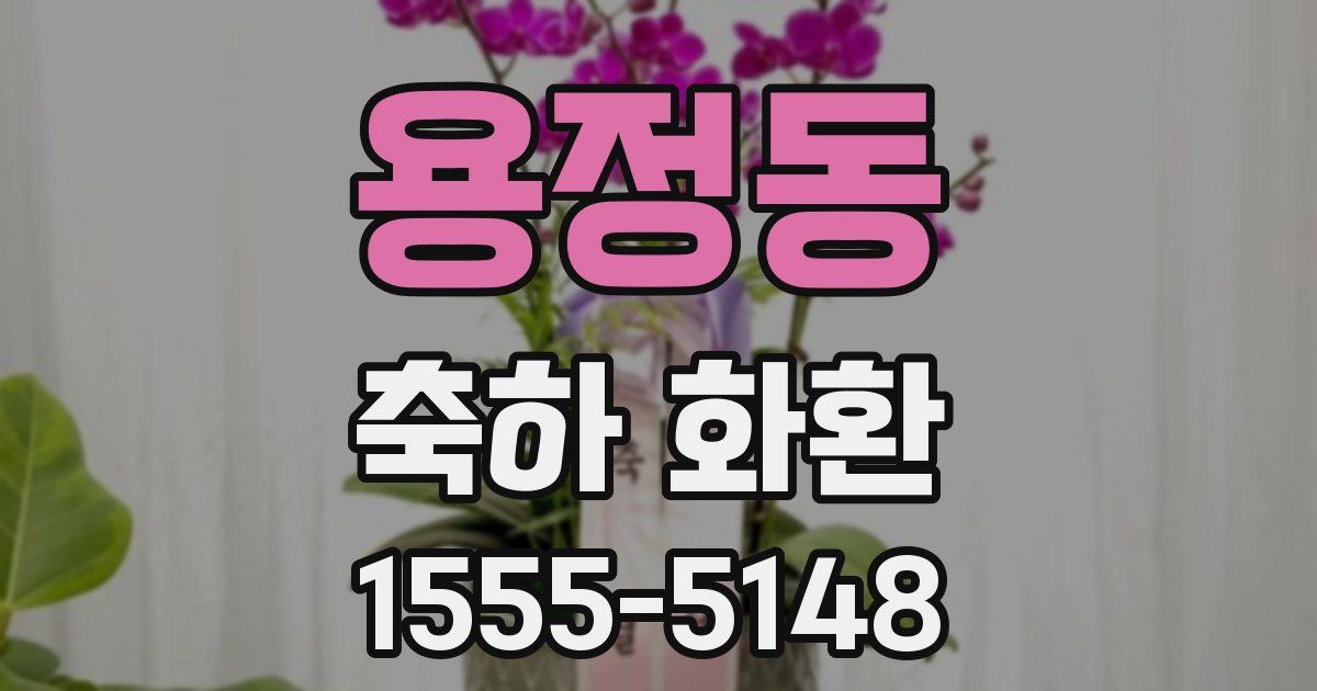 용정동 축하 화환