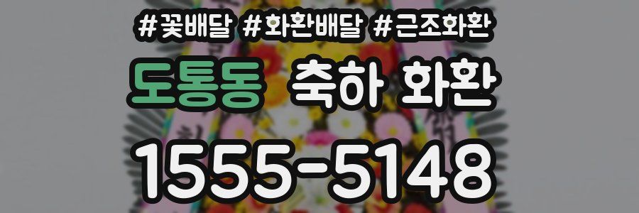 도통동 축하 화환