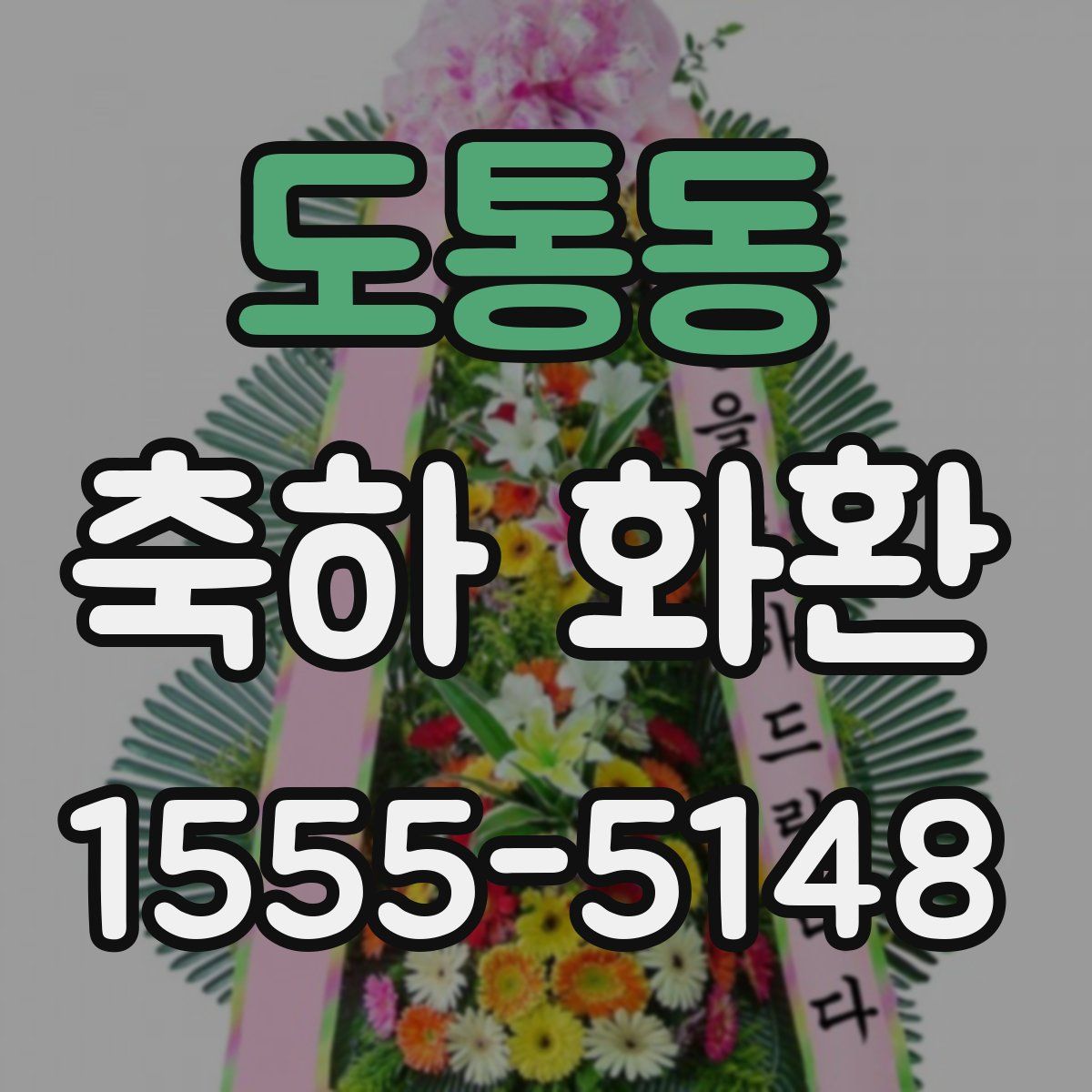 도통동 축하 화환