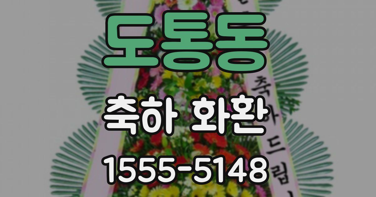 도통동 축하 화환
