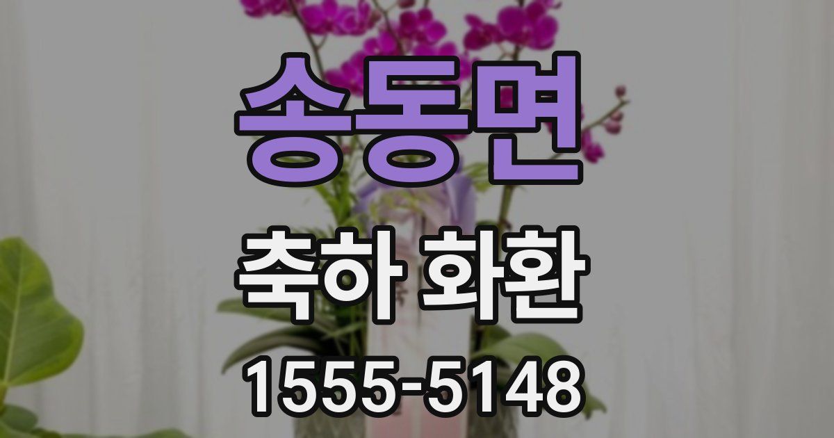 송동면 축하 화환