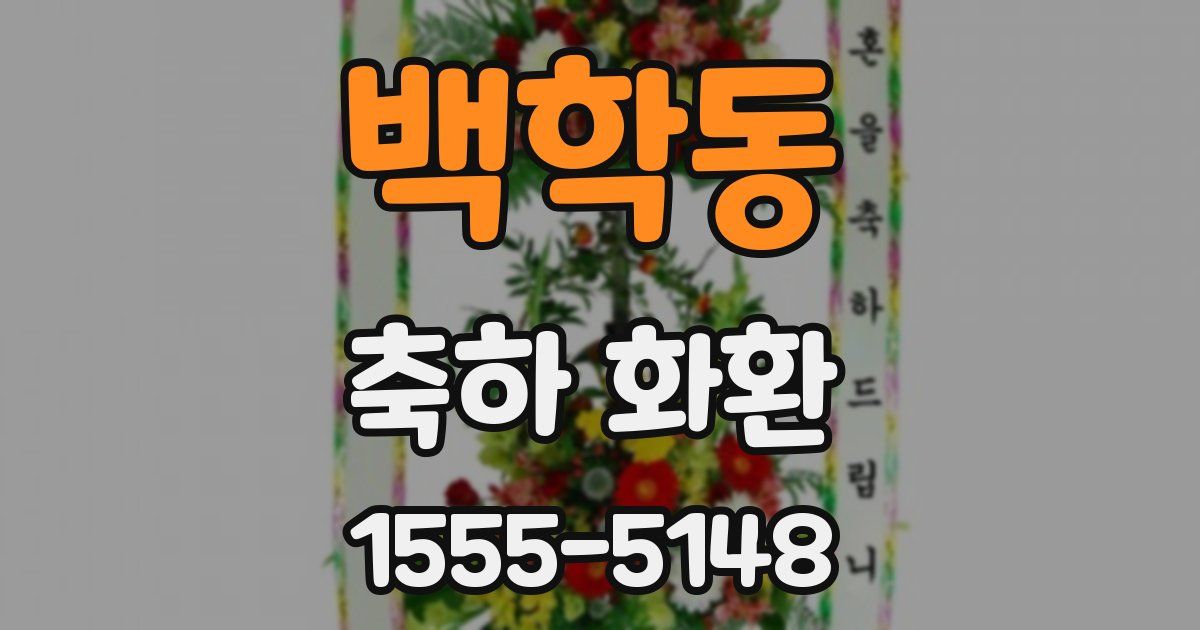 백학동 축하 화환