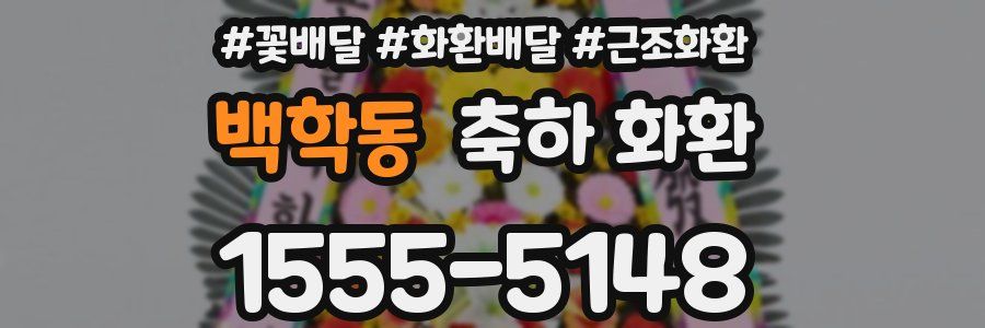 백학동 축하 화환