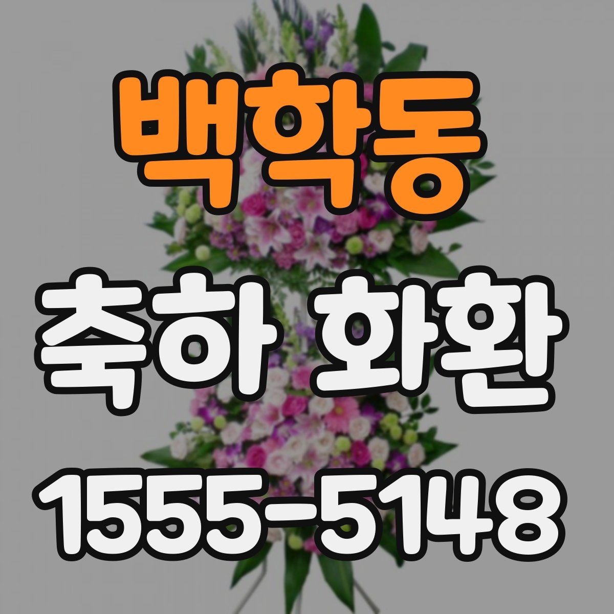백학동 축하 화환