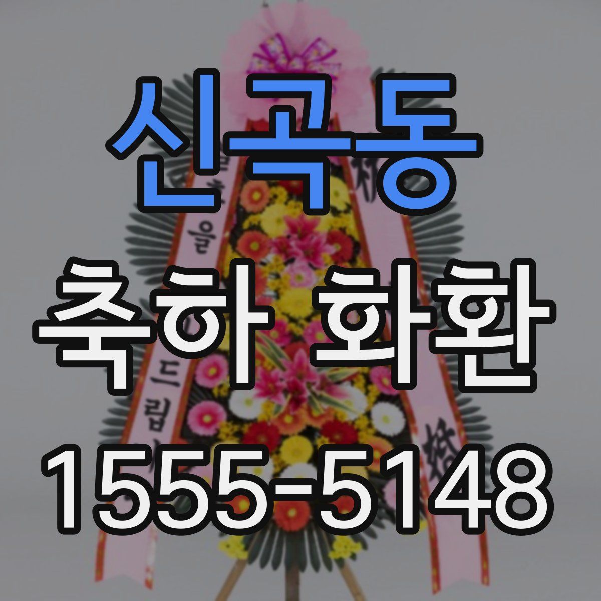 신곡동 축하 화환