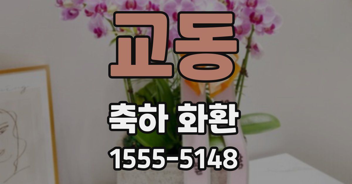 교동 축하 화환