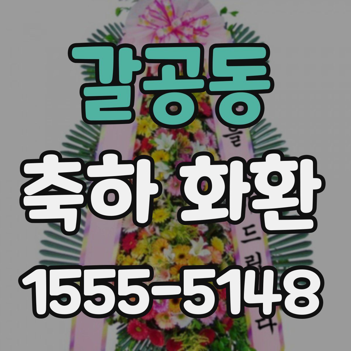 갈공동 축하 화환