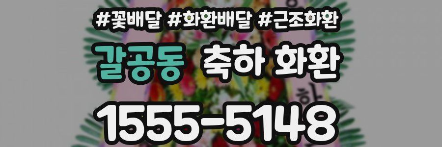 갈공동 축하 화환