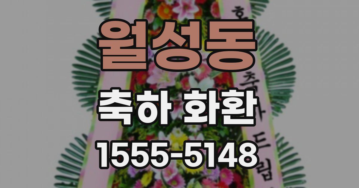월성동 축하 화환