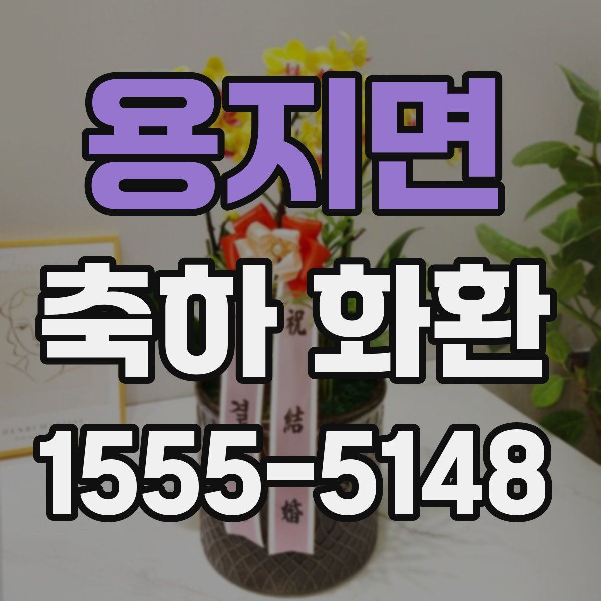 용지면 축하 화환
