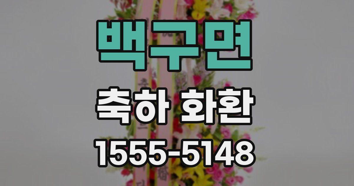 백구면 축하 화환