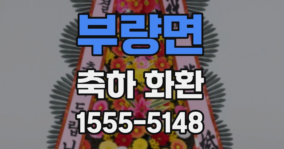 부량면 축하 화환