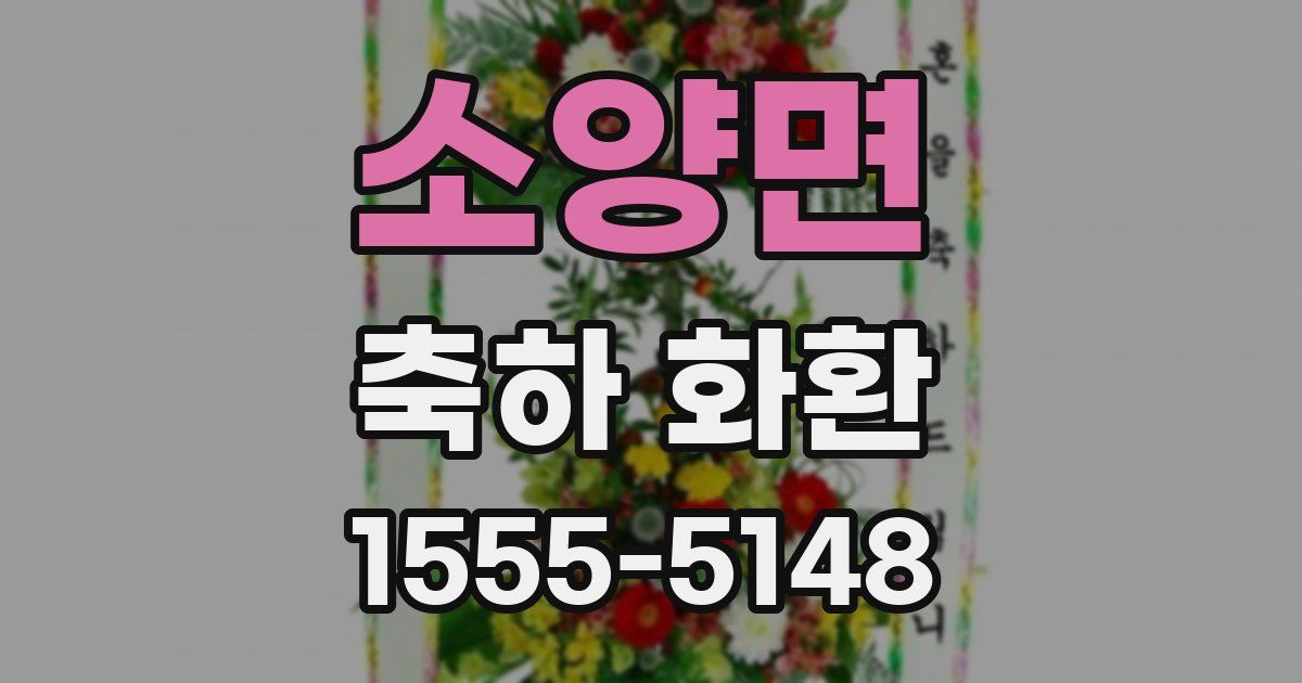 소양면 축하 화환