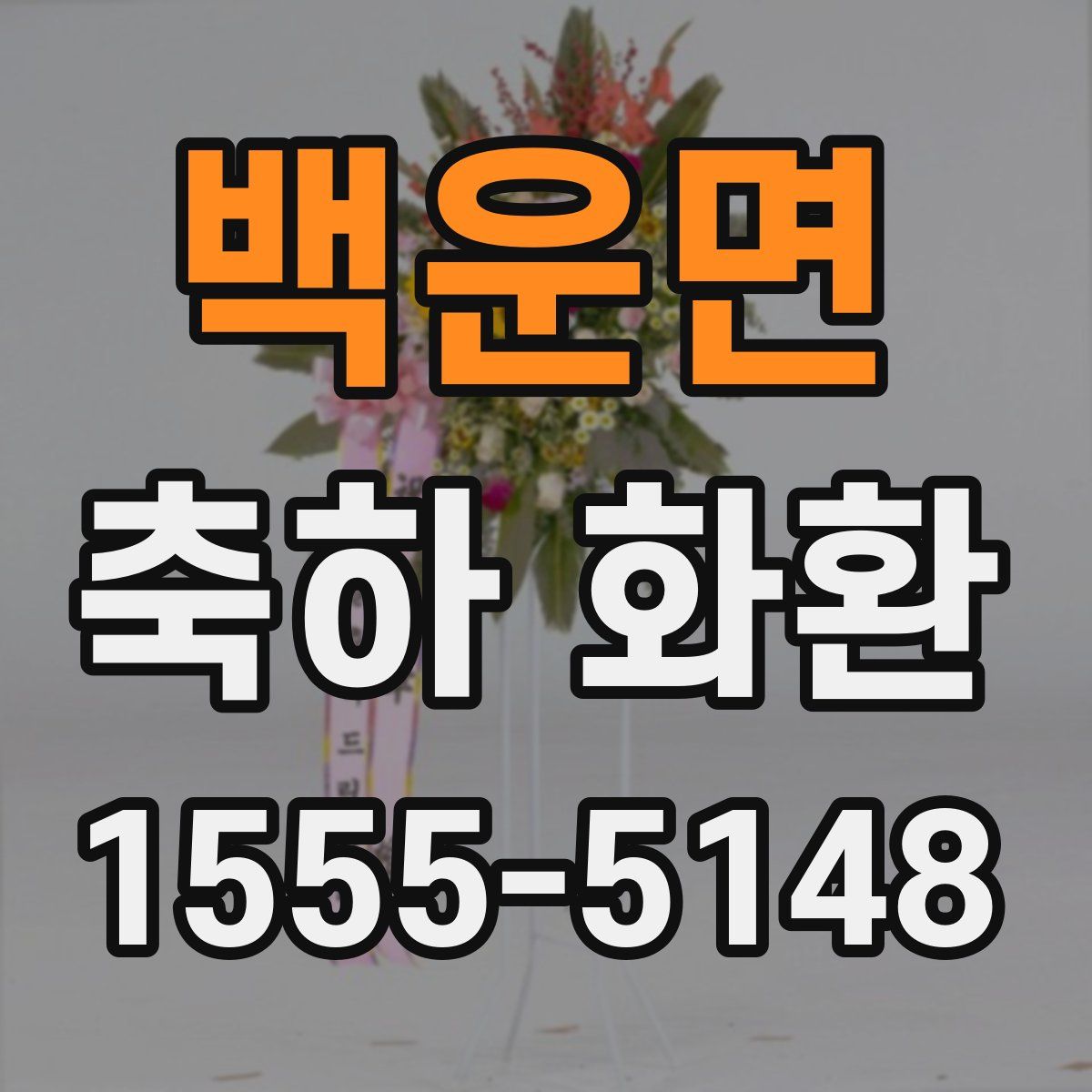 백운면 축하 화환