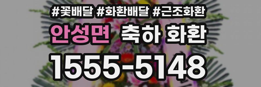 안성면 축하 화환
