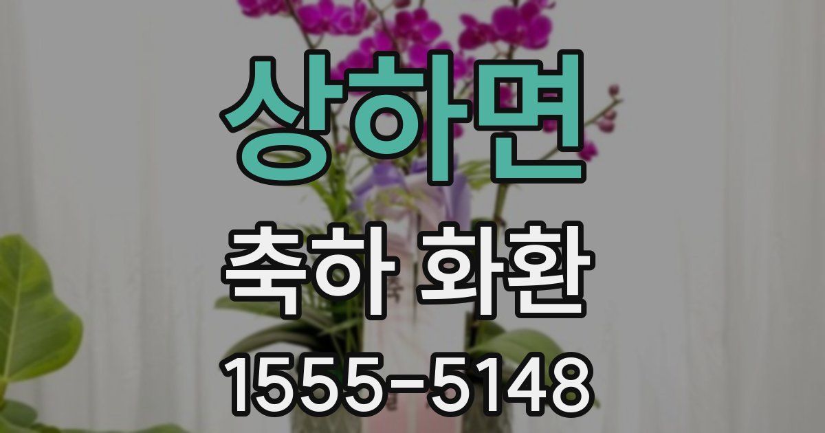 상하면 축하 화환