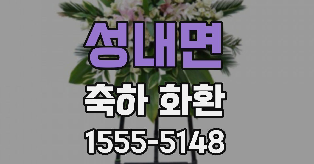 성내면 축하 화환
