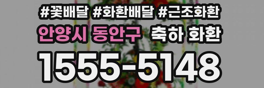안양시 동안구 축하 화환