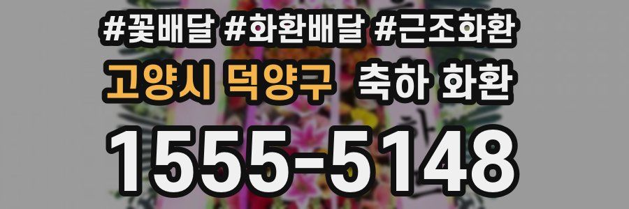 고양시 덕양구 축하 화환