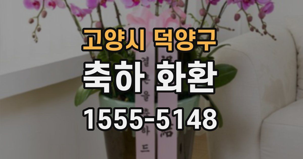 고양시 덕양구 축하 화환