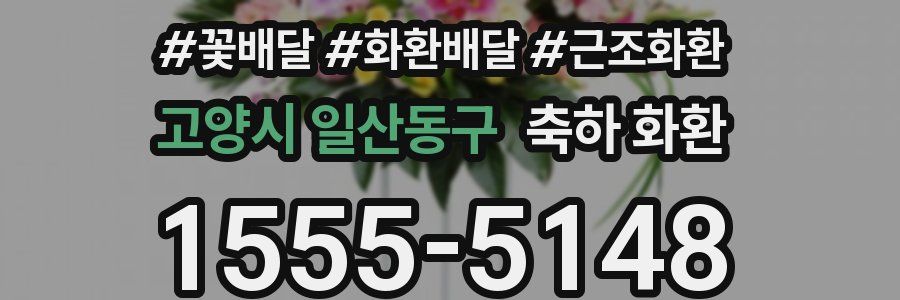 고양시 일산동구 축하 화환