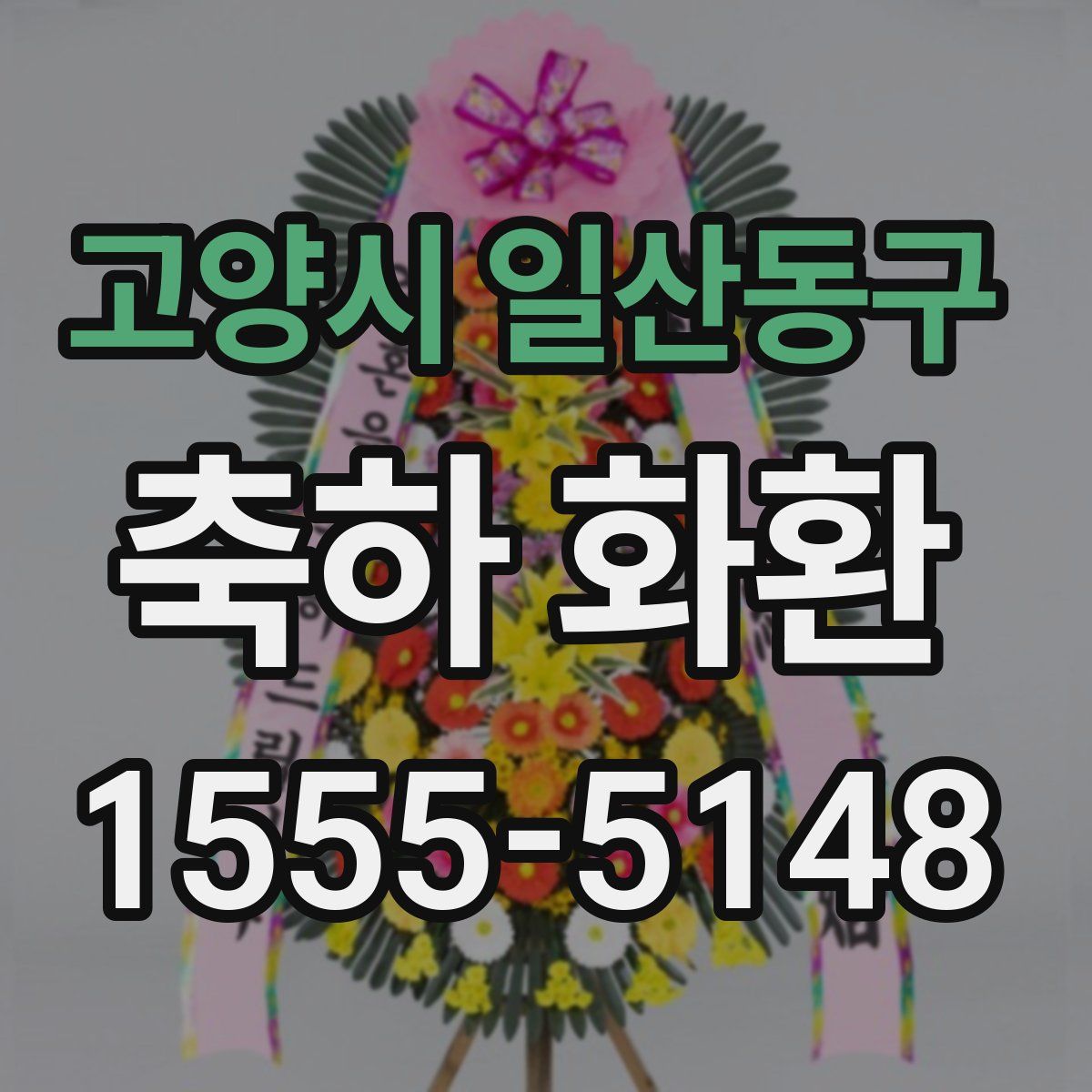 고양시 일산동구 축하 화환