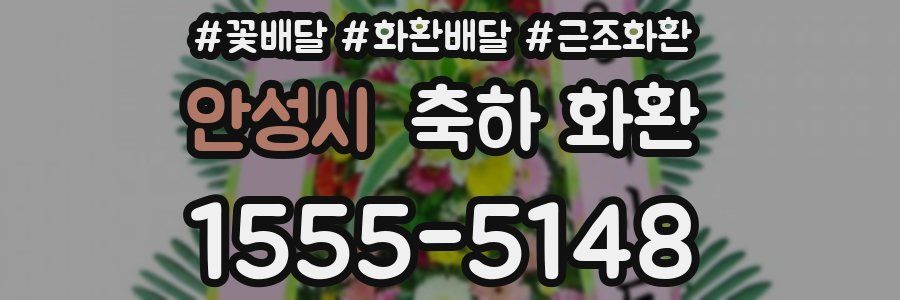 안성시 축하 화환