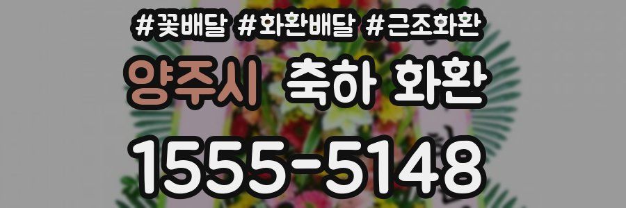 양주시 축하 화환