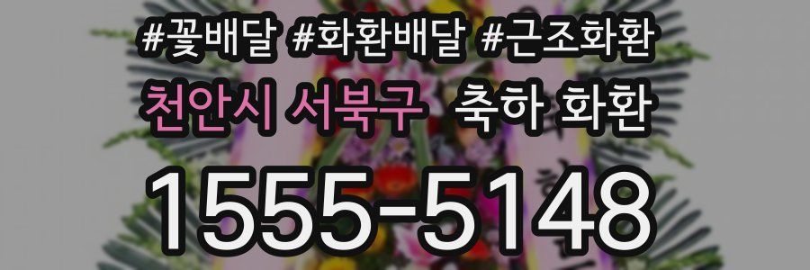 천안시 서북구 축하 화환