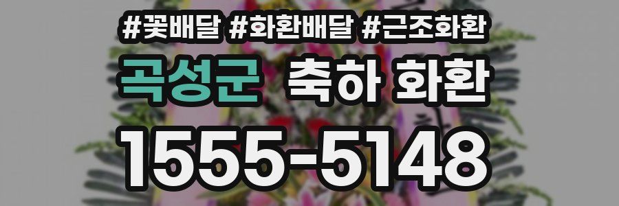 곡성군 축하 화환