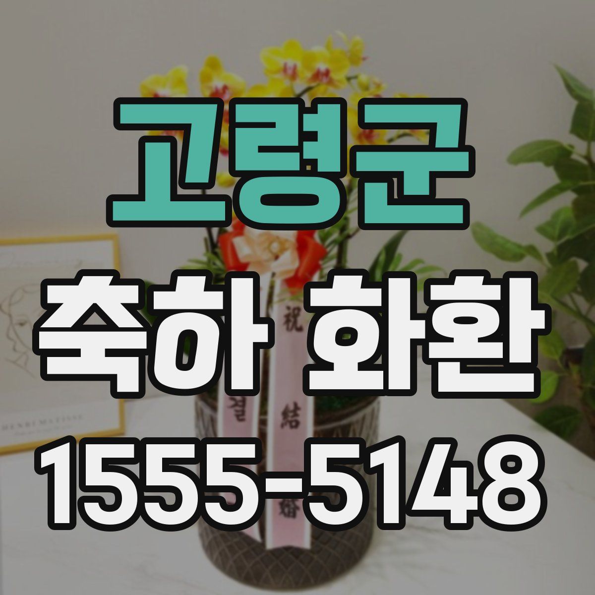 고령군 축하 화환
