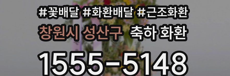 창원시 성산구 축하 화환