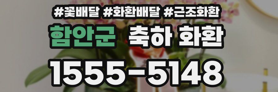 함안군 축하 화환