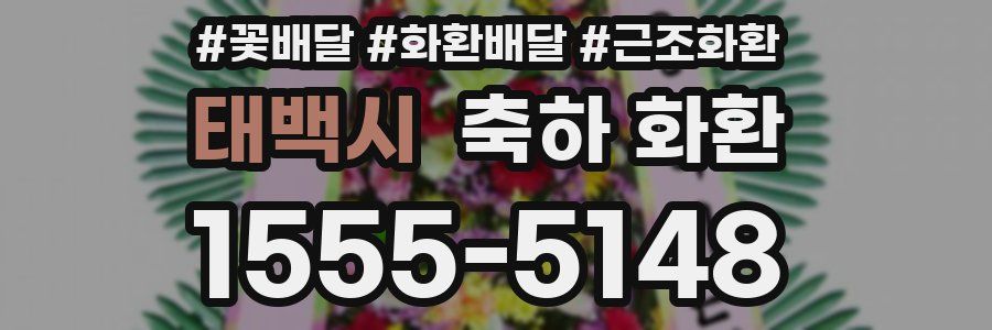 태백시 축하 화환