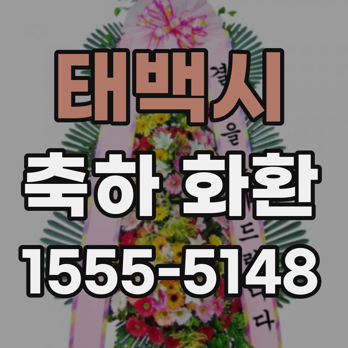 태백시 축하 화환