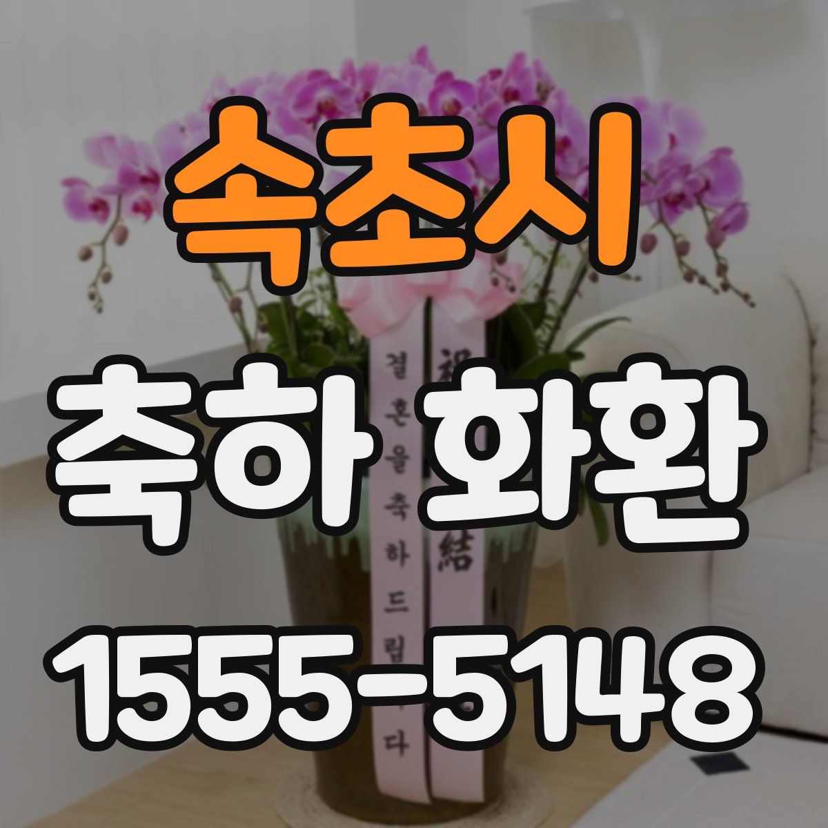 속초시 축하 화환